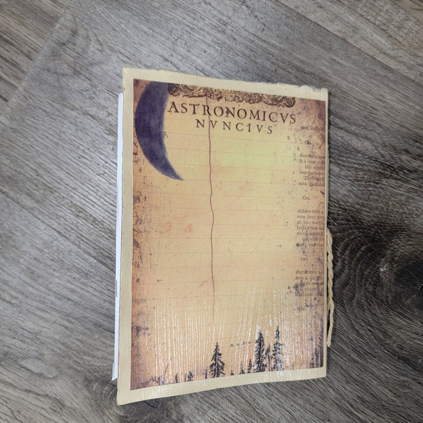 Small Hand-made Repurposed Black Cat Journal
