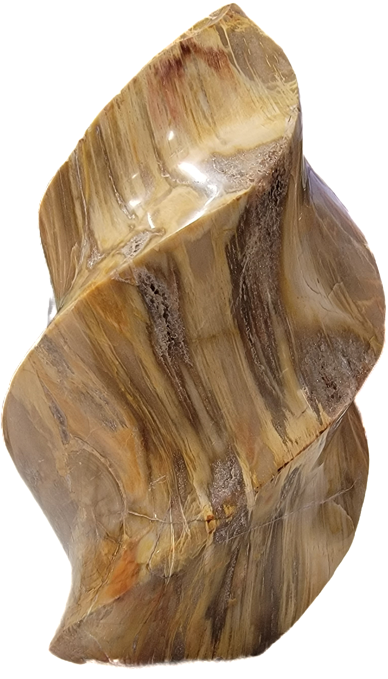 Petrified Wood Flame