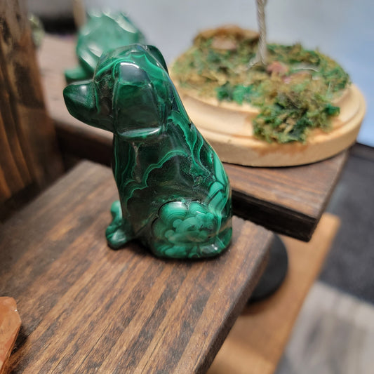 Malachite Dog