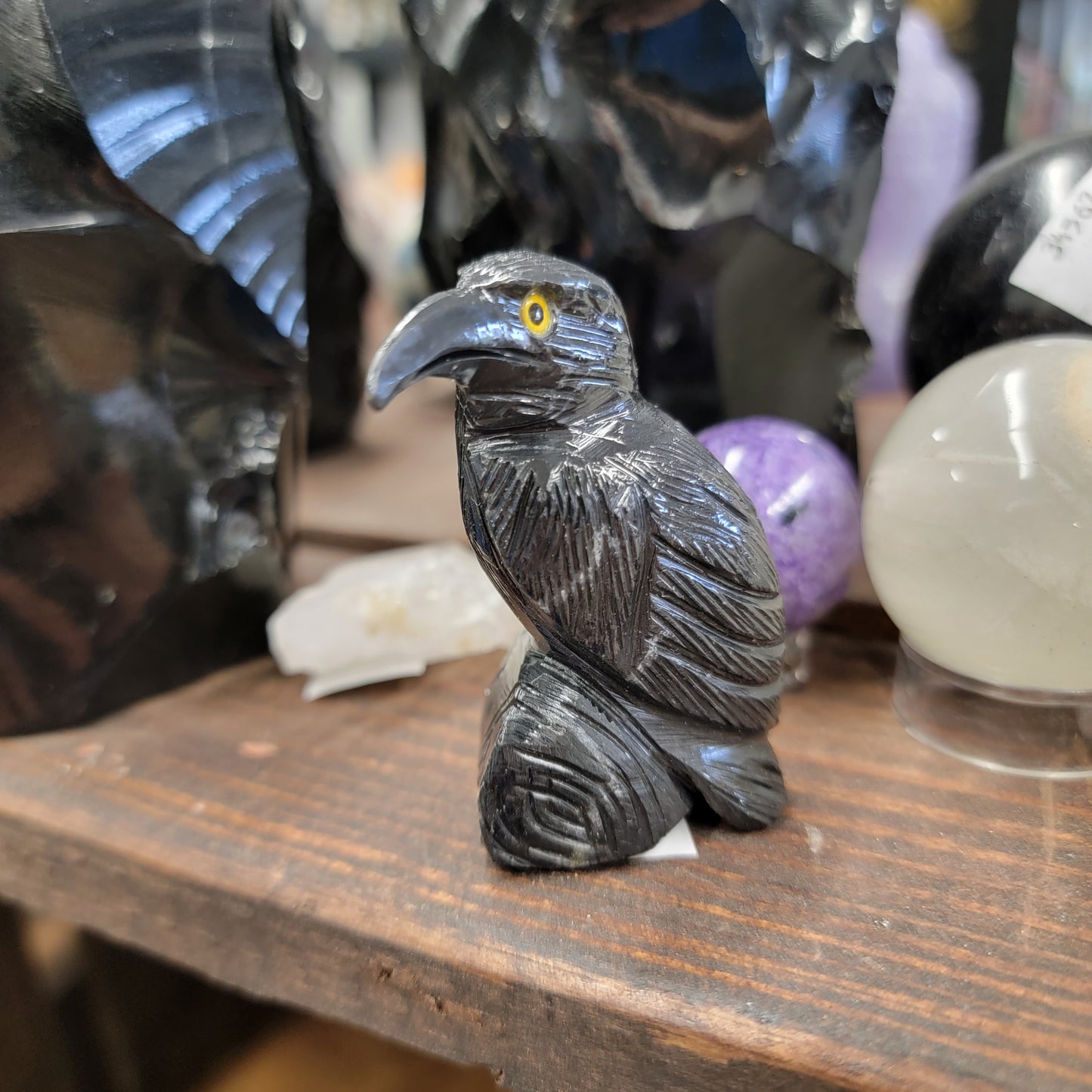 Medium Onyx Raven