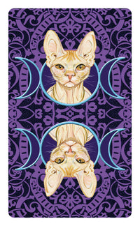 Tarot of Pagan Cats Mini