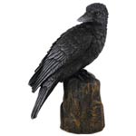 6” Raven