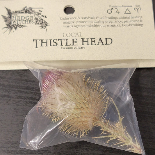 Thistle Head