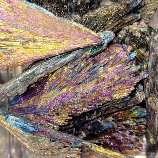 Rainbow Black Kyanite