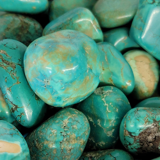 Turquoise Howlite